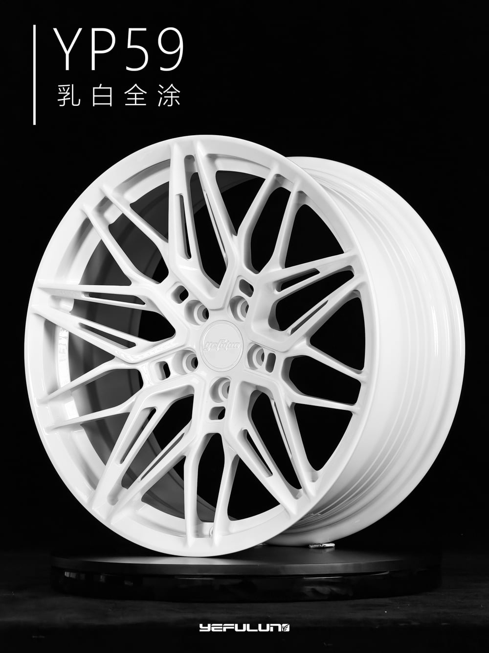 叶辐轮 YP59 详情图