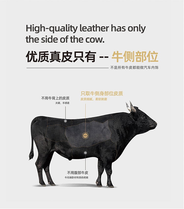 MER真皮自洁涂层 详情图