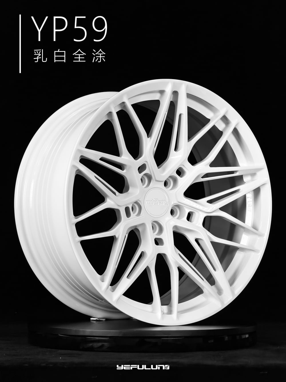 叶辐轮 YP59 详情图