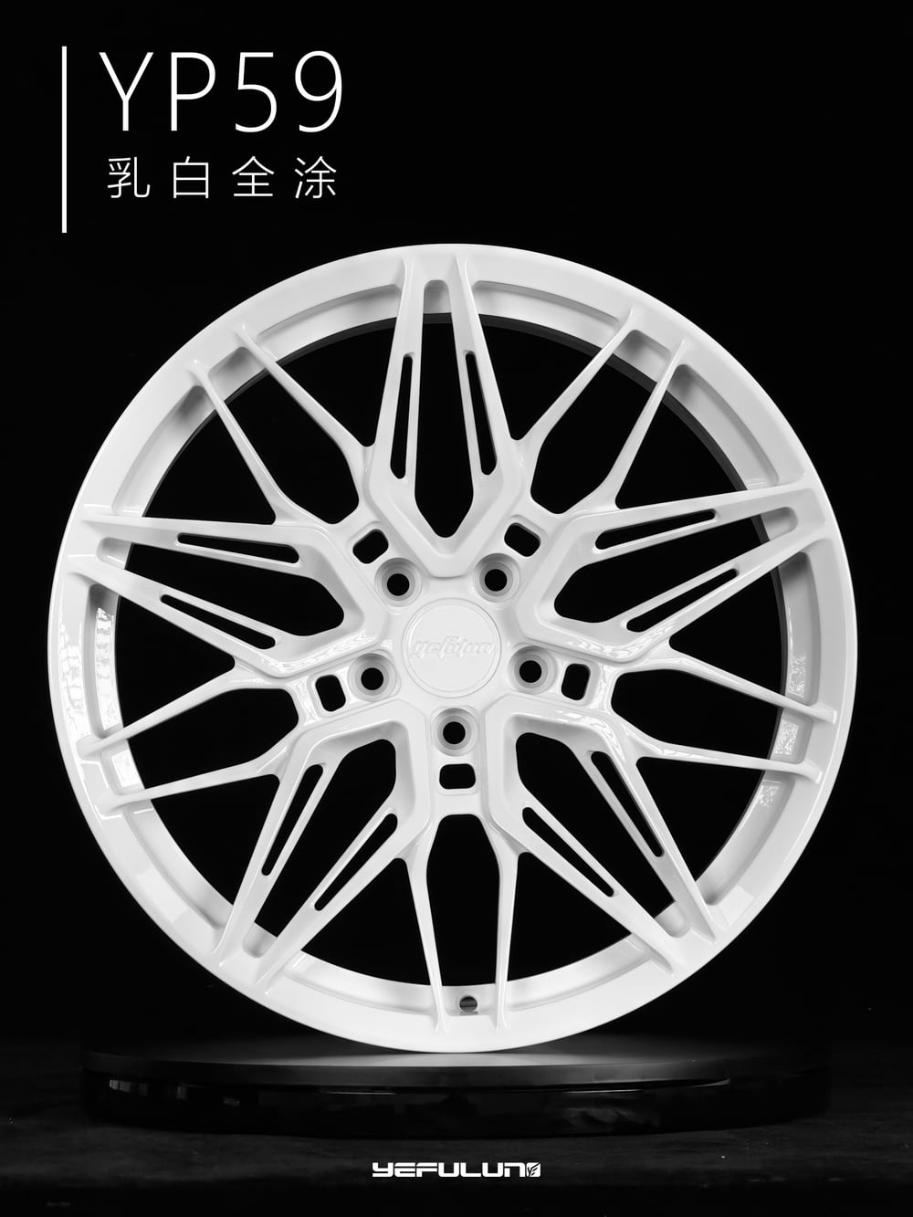 叶辐轮 YP59 详情图
