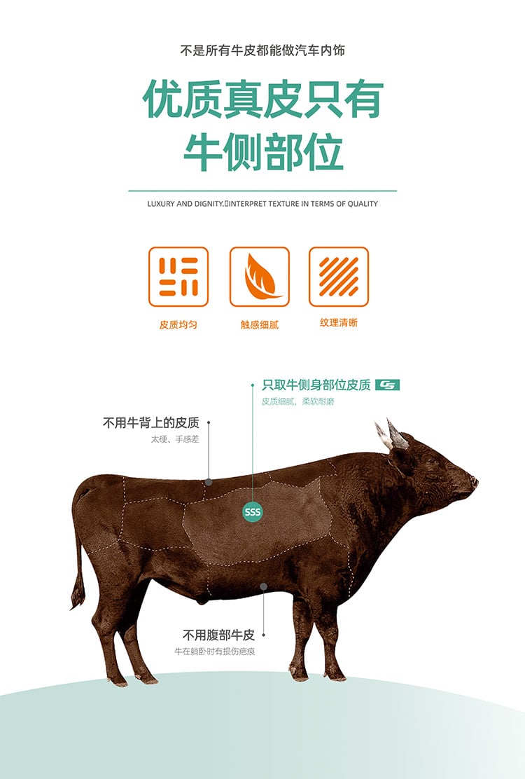 GS真皮自洁涂层 详情图
